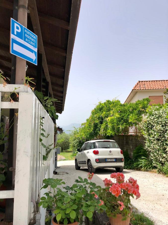 B&B Le Palme Cassino Esterno foto